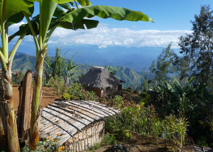 Descubren que el Neolítico se desarrolló en Nueva Guinea independientemente del resto del mundo